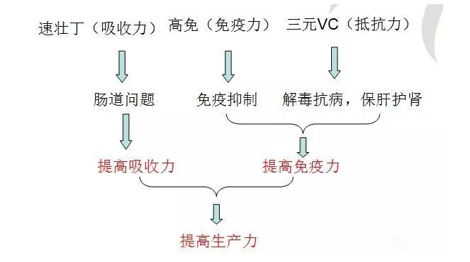 上海邦森333方案_