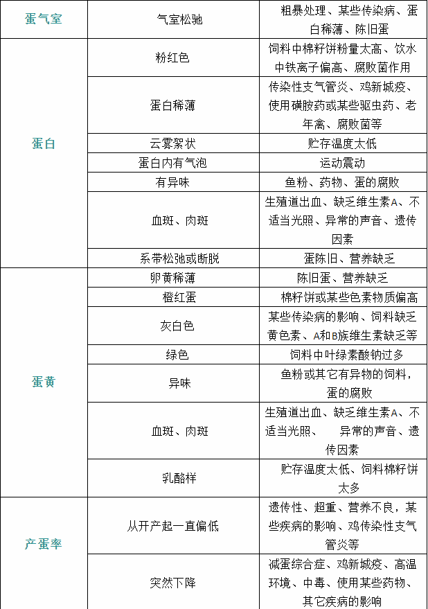 家禽疾病癥狀10