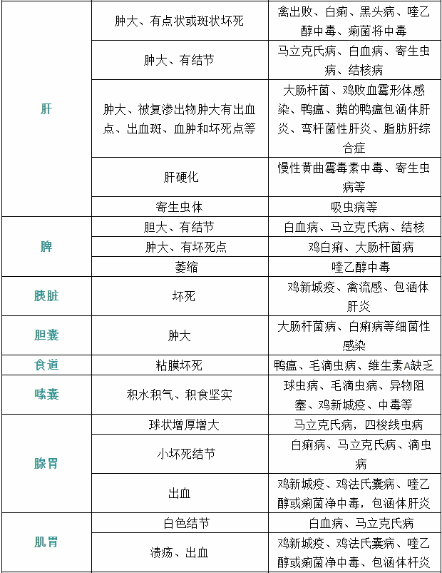 家禽疾病癥狀肝