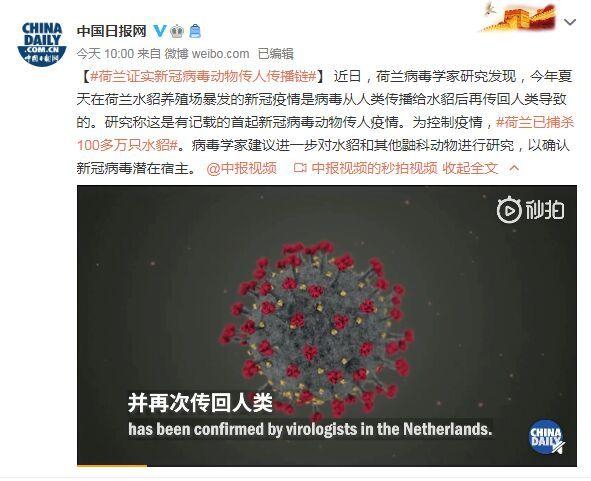 首起！荷蘭證實新冠病毒動物傳人疫情鏈條：病毒從人類傳播給水貂后再傳回人類